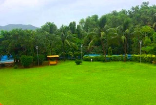 Party Lawn