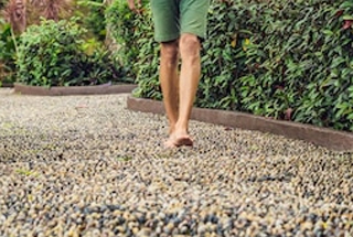 Reflexology Path
