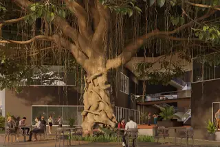 Banyan Tree-Seating Area