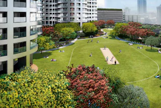 Cricket Practice Pitch