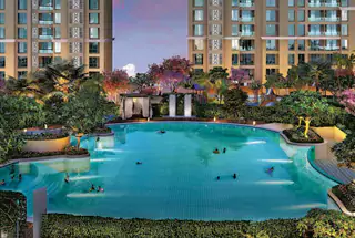 Olympic Sized Swimming Pool