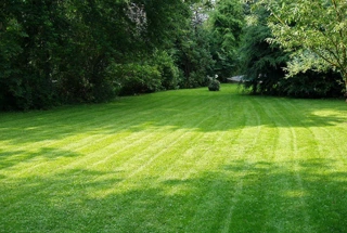Multi-use Lawn