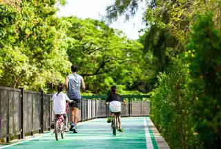 Cycling Track
