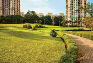 Landscaped Gardens