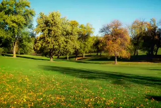 Landscaped Park