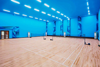 Sport Courts