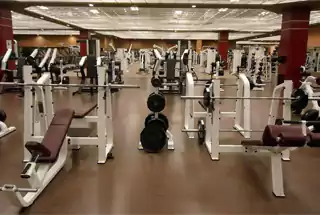 Gymnasium