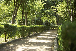 Walking Trail