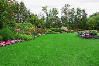 Landscaped Greens