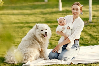 Pets Zone