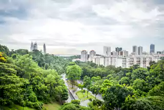 Urban Forest