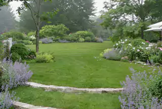 Landscaped Garden