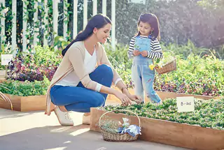 ORGANIC GARDEN