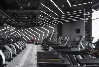 WORLD CLASS GYMNASIUM