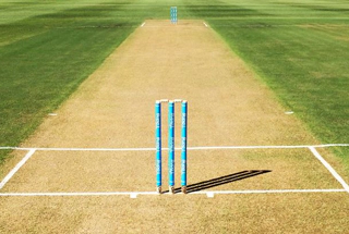 Cricket Pitch