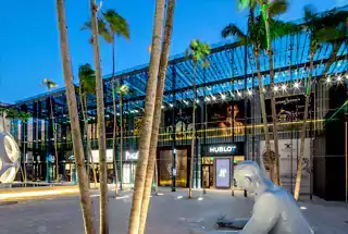 Palm Court