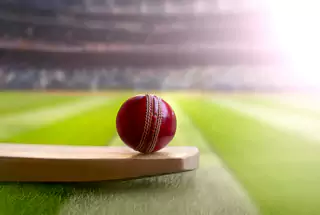 Cricket Pitch