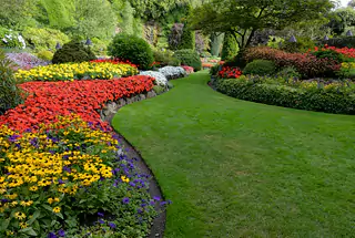 LANDSCAPED GARDEN