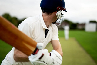 Cricket pitch
