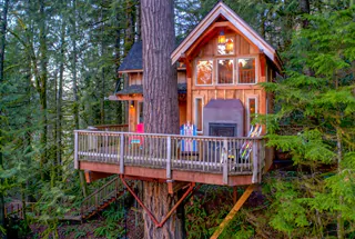 Tree House