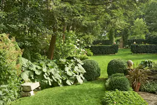 Landscape Garden