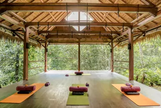 Yoga Pavilion