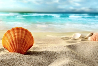Sand Beach