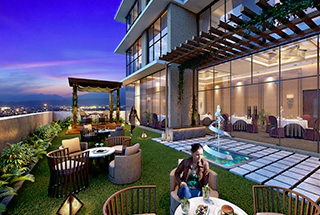 Party Lawn
