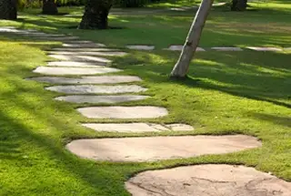 Walk Way