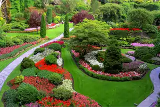 Floral Garden