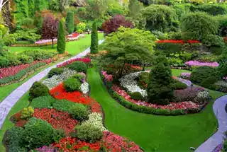 landscaped Greens